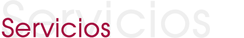 Servicios